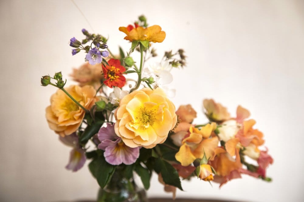 Studio still life